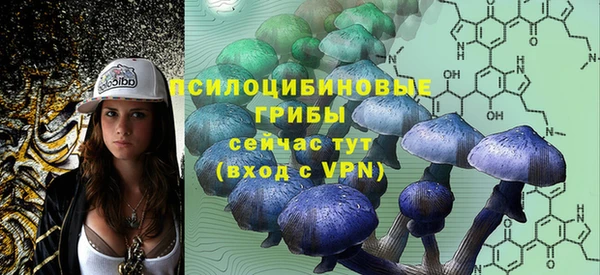 a pvp Вязьма