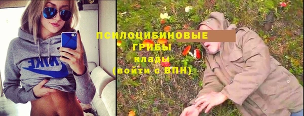 a pvp Вязьма