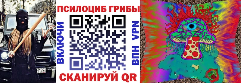 Псилоцибиновые грибы прущие грибы  купить закладку  Избербаш 